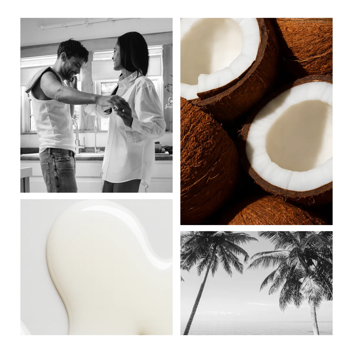 Coconut Hybrid Original - Image 4