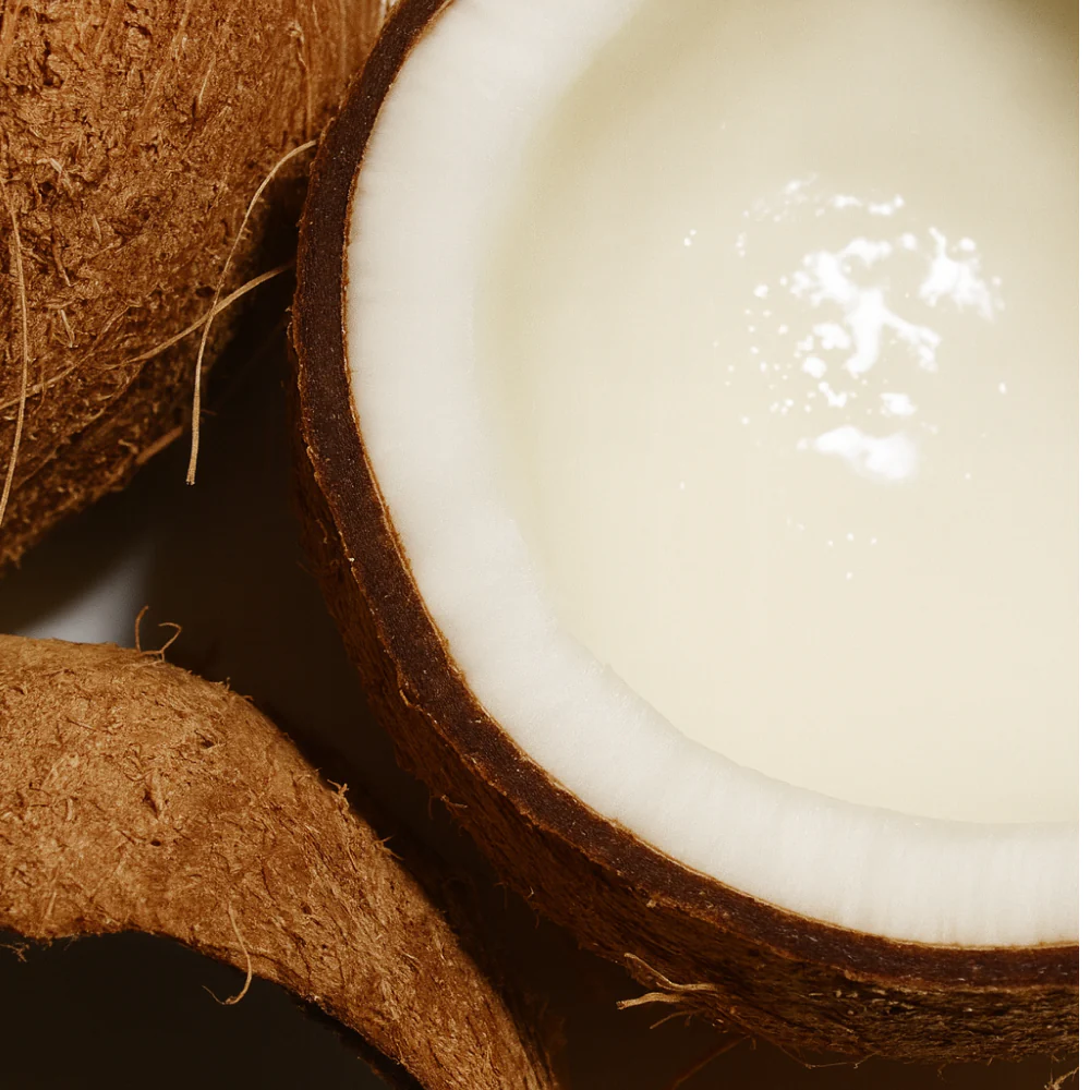 Coconut Hybrid Warming - Image 8